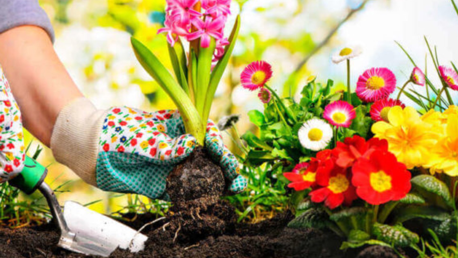 Spring Flower Garden